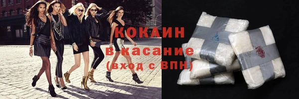 амф Верхний Тагил