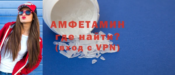 амф Верхний Тагил