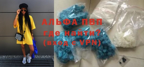 амф Верхний Тагил