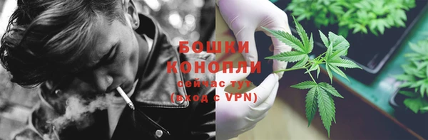 гидра Верея