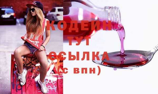 дживик Пересвет