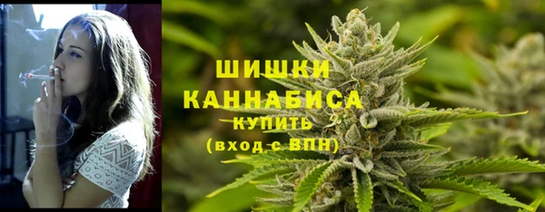 гидра Верея