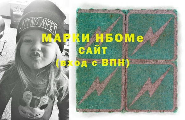амф Верхний Тагил