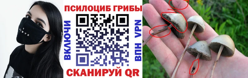 цена наркотик  Демидов  Галлюциногенные грибы GOLDEN TEACHER 